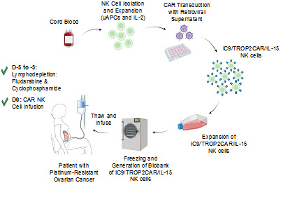 Figure 1. Schematic diagram for the process of generation and biobanking of GMP-grade off-the-shelf iC9/TROP2CAR/IL-15 NK cells.