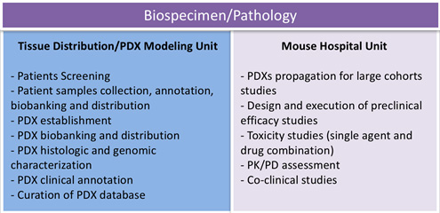 Functions of the two biospecimen/pathology core units