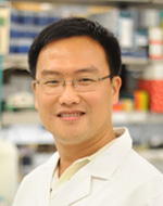 Xiang Zhang, PhD