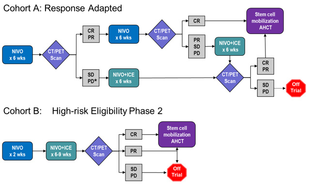 Figure 4. NICE Treatment Schema (Specific Aim 1)