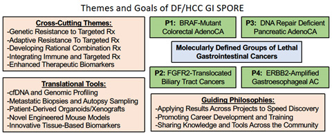 Themes and goals of DF/HCC Spore