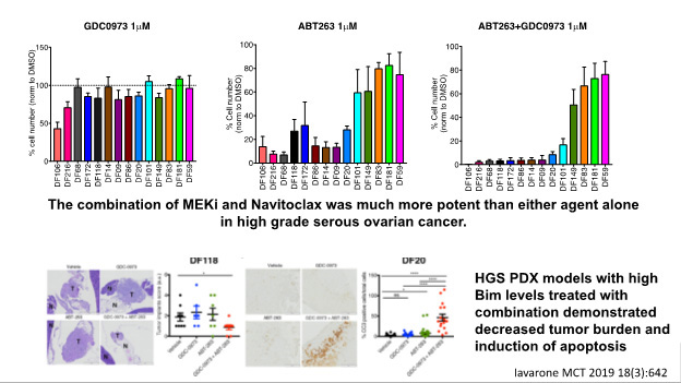 HGS PDX models with high Bim levels treated with combination demonstrating decreased tumor burden and induction of apoptosis