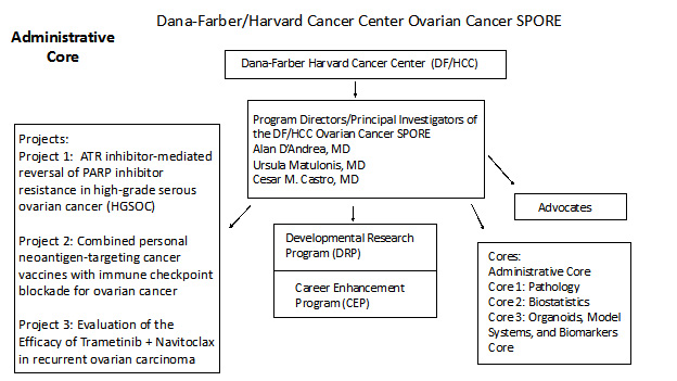 structure of the DF/HCC SPORE for Ovarian Cancer