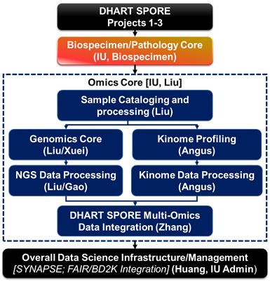 Overview of Omics Core Process.