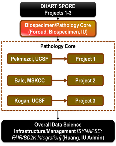 Overview of Biospecimen and Pathology Core.