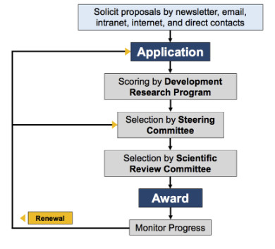 Flowchart showing the Developmental Research Program Process