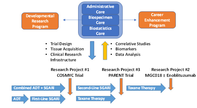 Research Structure of the Johns Hopkins Prostate Cancer SPORE