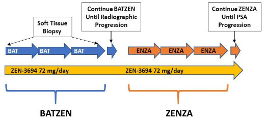 Chart showing BATZEN and ZENZA processes