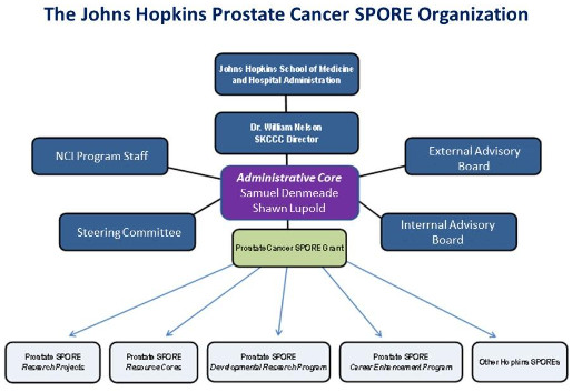 The Johns Hopkins Prostate Cancer SPORE Organization