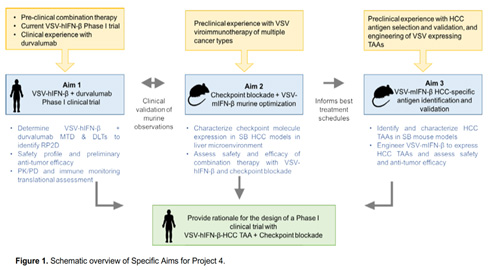 schematic overview of Project 4 specific aims