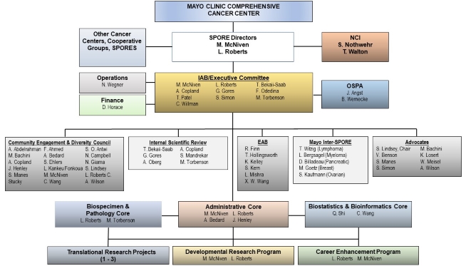 Organizational Structure of the Mayo Clinic HBC SPORE with Oversight Provided by the Administrative Core.