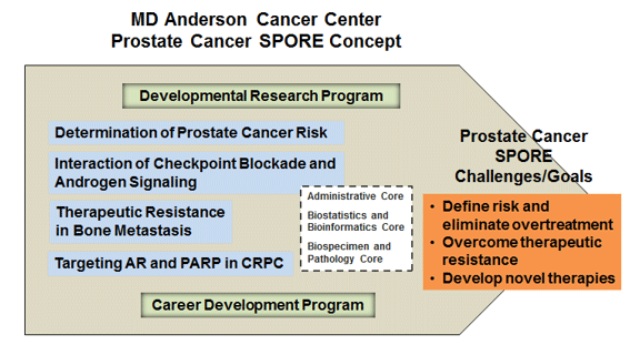 Representation of the MD Anderson Cancer Center Prostate Cancer SPORE, which consists of 4 Projects, 3 Cores, and 2 Programs.