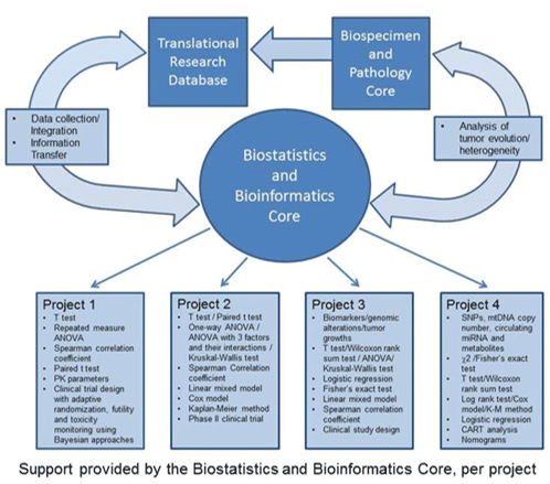Support provided by the Biostatistics and Bioinformatics Core per project