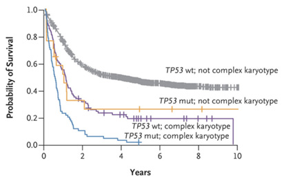 CK and TP53 mutations are associated with poor prognosis. Kaplan-Meier curves demonstrating reduced OS in AML featuring CK and/or TP53 mutation. Source: Papaemmanuil, E., et al. N Engl J Med. 2016.