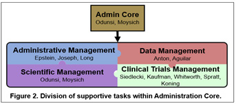 Figure 2. Division of supportive tasks within the Admin core