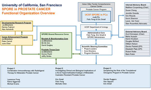 UCSF Prostate Cancer SPORE Functional Organization Overview