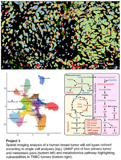 Adaptive response to targeted kinase inhibition