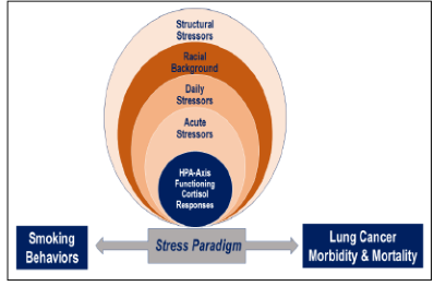 stress paradigm