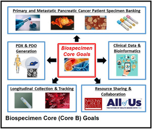 Biospecimen Core (Core B) Goals